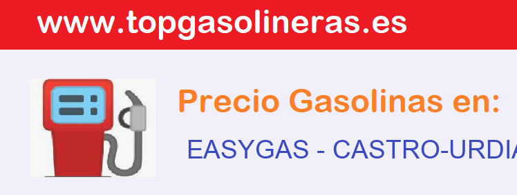 Precios gasolina en EASYGAS - castro-urdiales